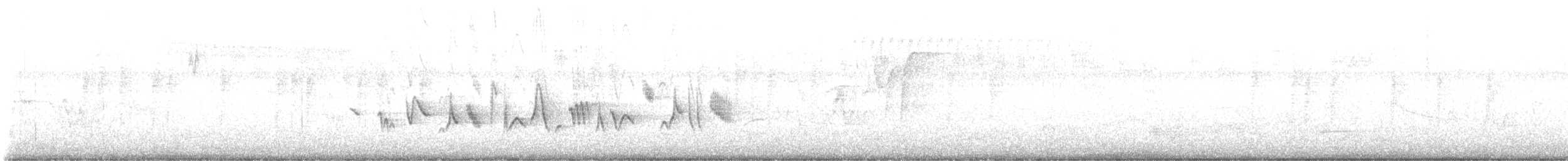 Blue Grosbeak - ML643513849