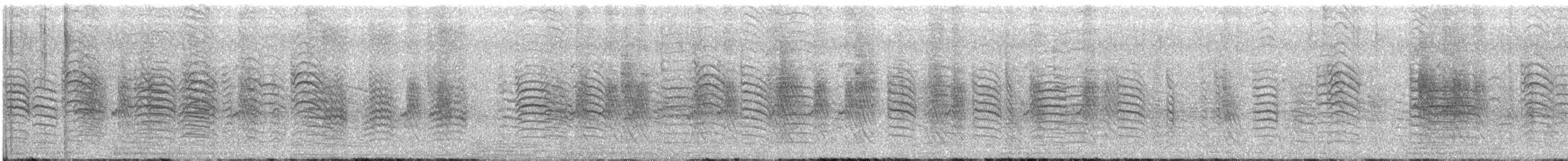 Zebraamadine - ML643514334