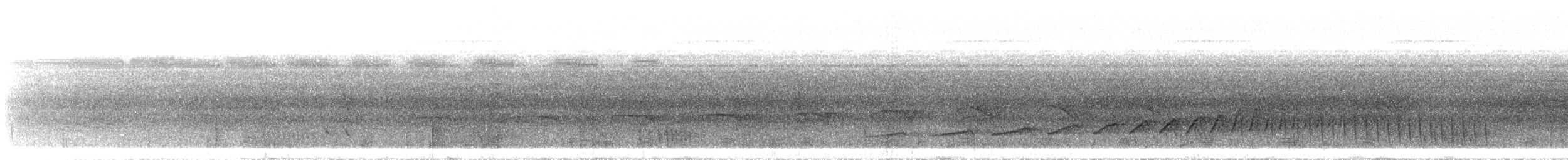 Bluish-slate Antshrike - ML643514540