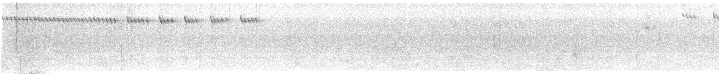 Gilded Hummingbird - ML643514739