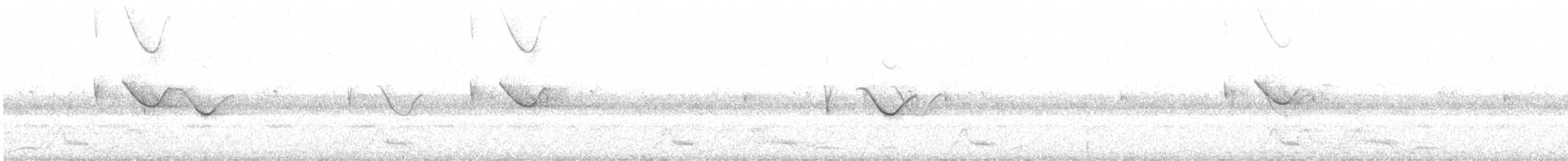 Spot-tailed Nightjar - ML643514768