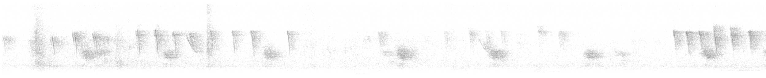 Sick's Swift - ML643514898