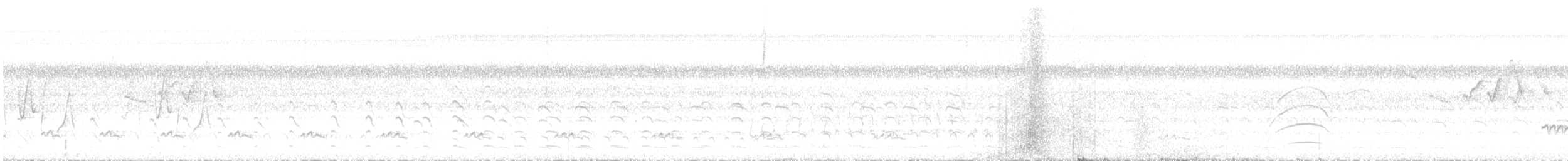 Lesser Ground-Cuckoo - ML643515477