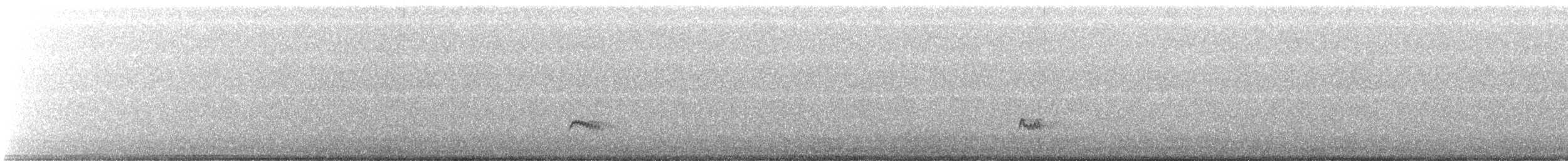 Tyran à gorge cendrée - ML643516315