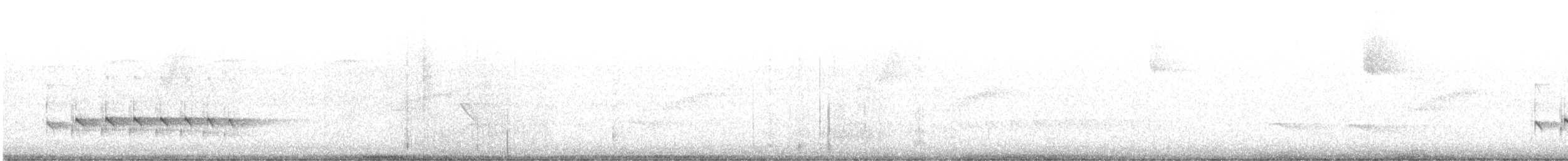Dusky Antbird - ML643516705