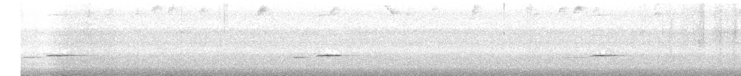 Grive ardoisée - ML643518398
