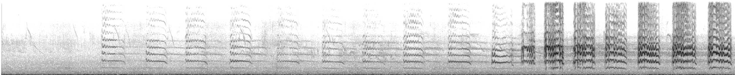 Southern Lapwing - ML643518880