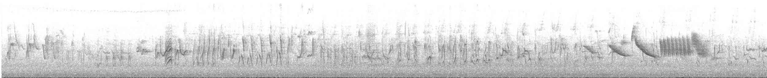 Бородатый чиж - ML643518900