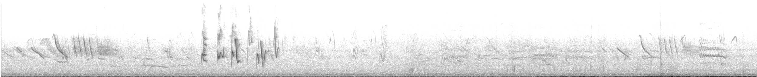 Diucaammertangare - ML643519281
