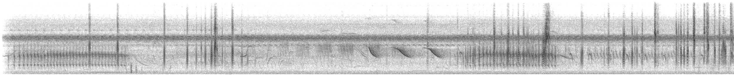 Doradite de Dinelli - ML643519304