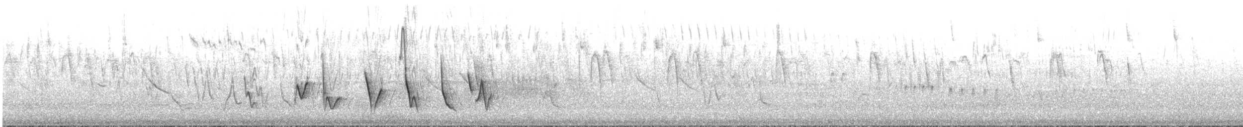 Diucaammertangare - ML643519424