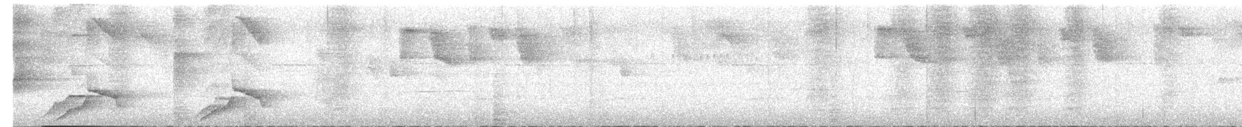 Melodious Blackbird - ML643519520