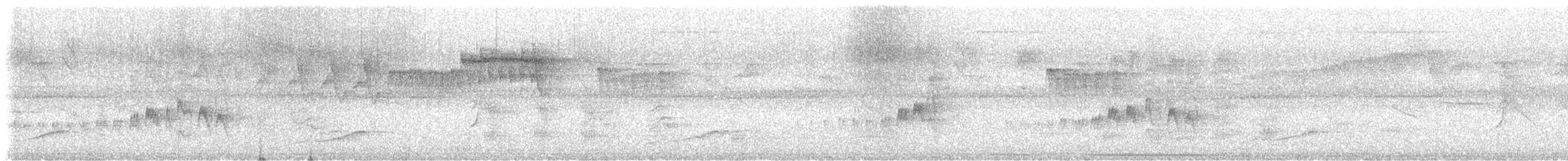 Mouse-colored Tyrannulet - ML643520024