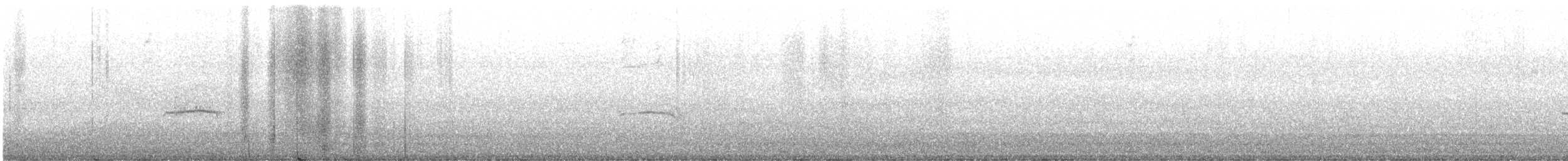 Western Wood-Pewee - ML643520306