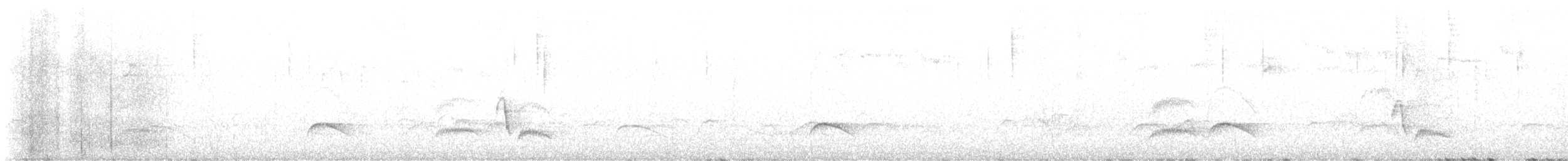 White-crested Elaenia - ML643520404
