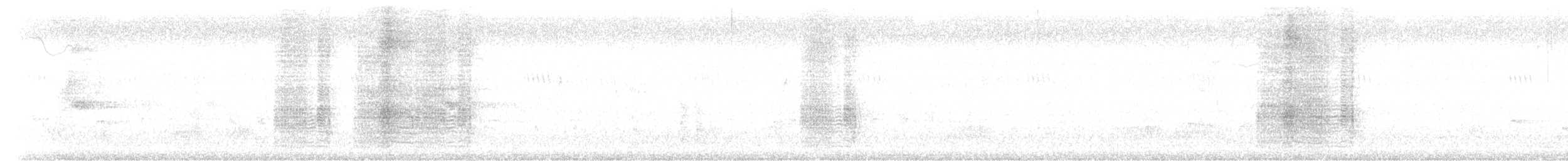 svartdrongo - ML643520933