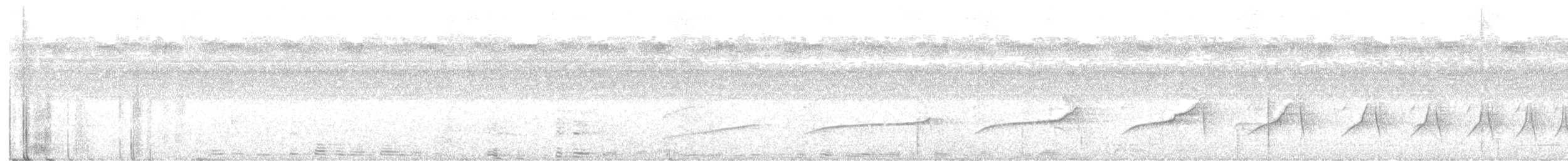 Batara cendré - ML643521511