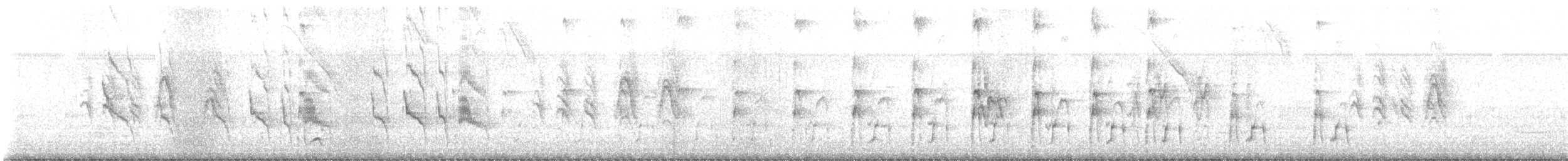 Social Flycatcher - ML643522441