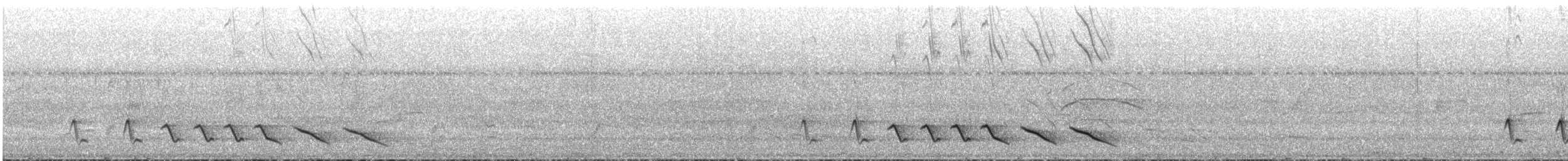 Bluish-gray Saltator - ML643522492