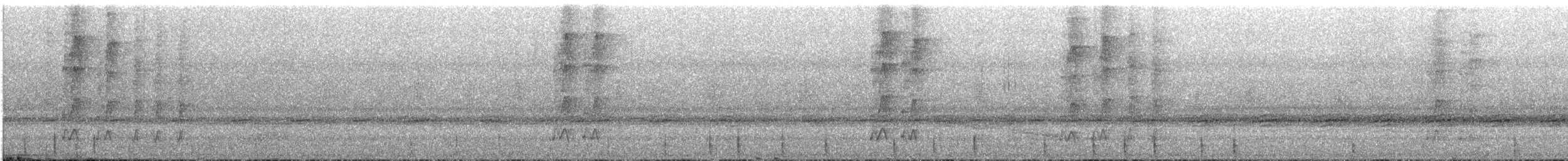 Little Woodpecker - ML643522850