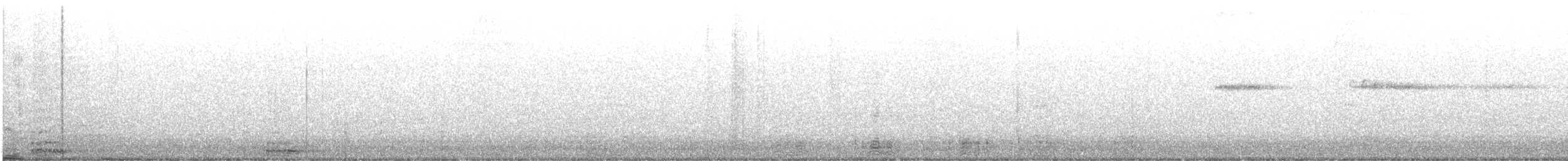 Double-crested Cormorant - ML643524168