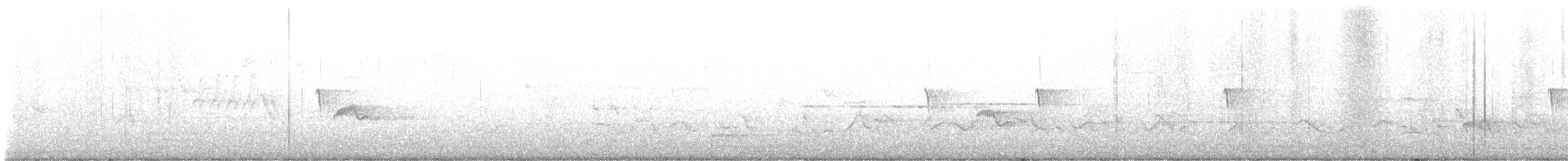 פיבי מזרחית - ML643524198