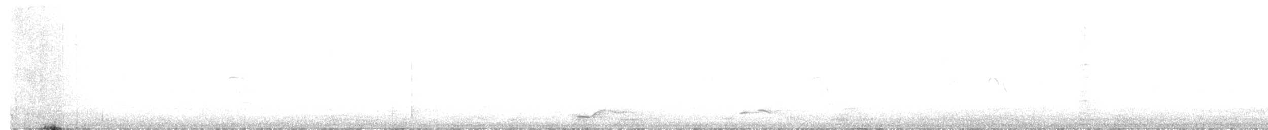 Whiskered Wren - ML643525040