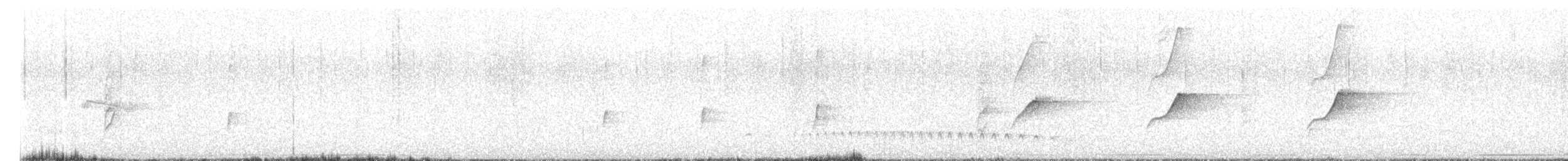 bladflatnebb - ML643525129