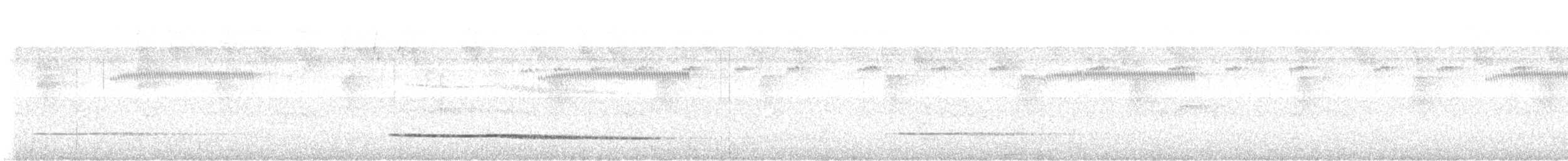 コシギダチョウ - ML643525645