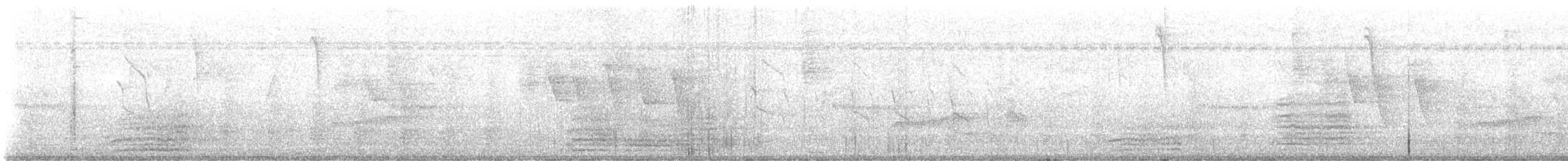 緋紅金剛鸚鵡 - ML643526505