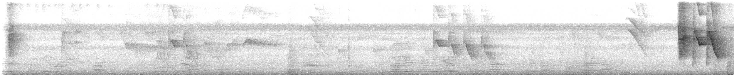 シロハラキミドリイカル - ML643527064