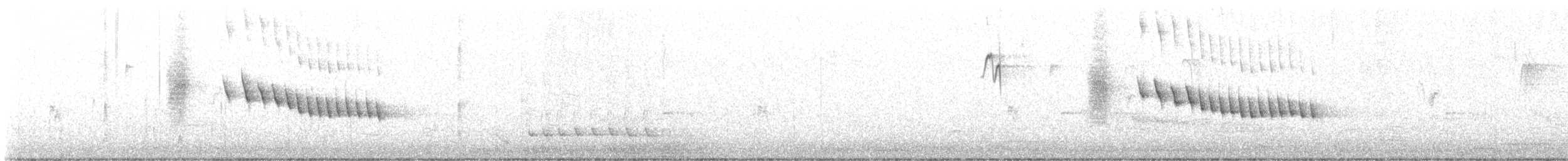 Brown Thornbill - ML643527378