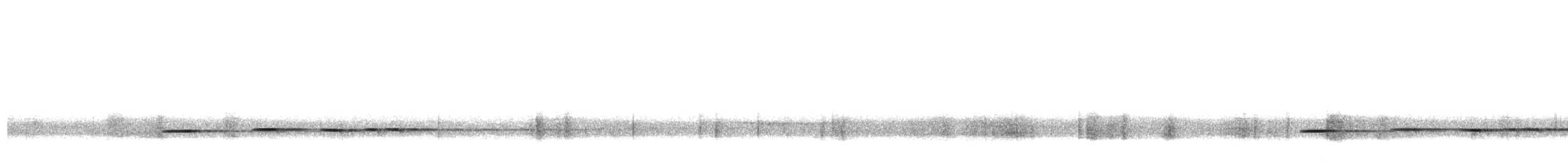 Tavus Guguğu - ML643527974