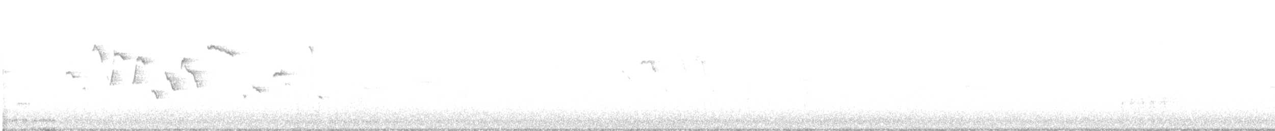 Волове очко - ML643528541