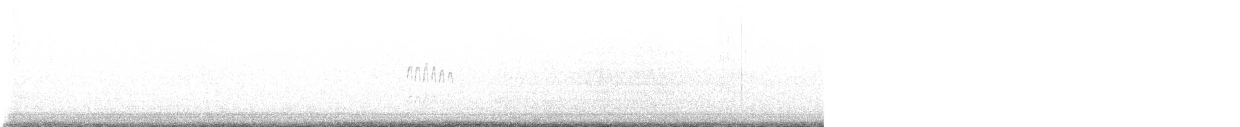 Calidris sp. (peep sp.) - ML643528567