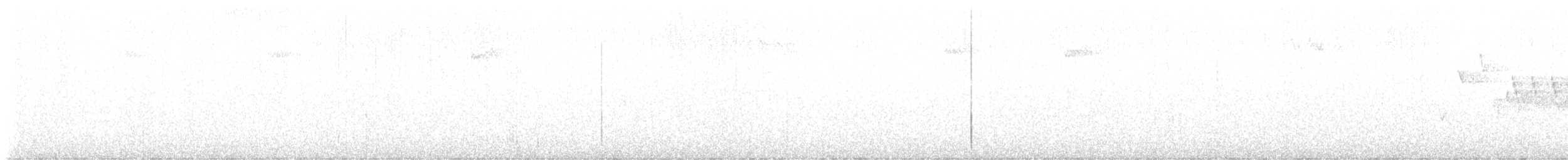Волоочко кордильєрське - ML643528636