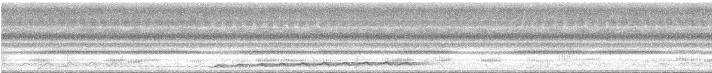 オニカッコウ - ML643528939