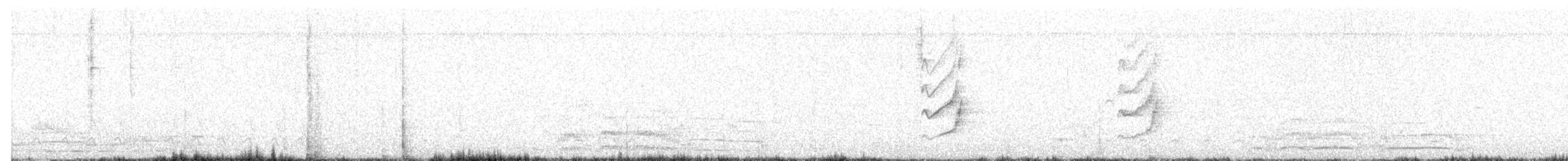 Tirano Piquigrueso - ML643529714