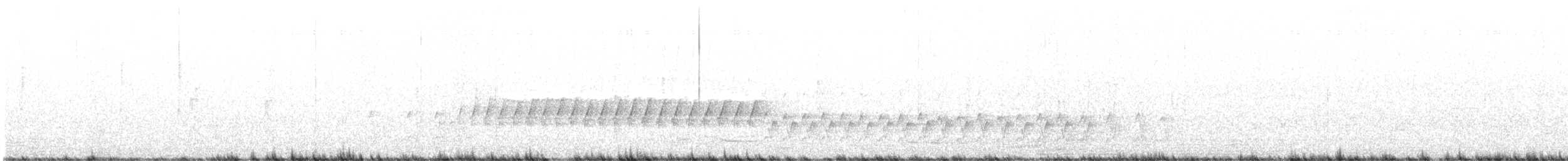 White-winged Triller - ML643531189