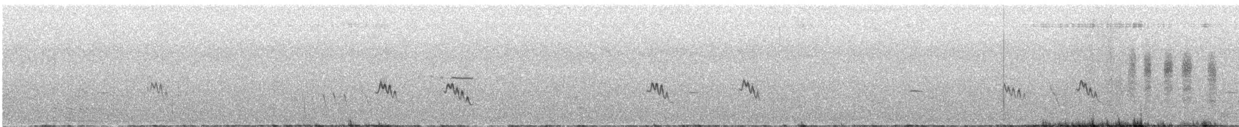 Inland Thornbill - ML643531279
