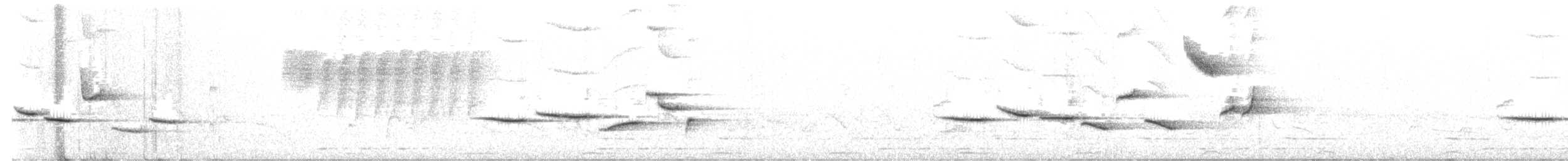Brown Scrub-Robin - ML643531498
