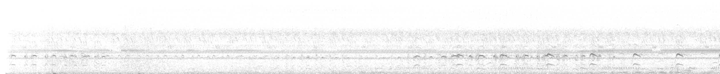 Three-banded Courser - ML643531538