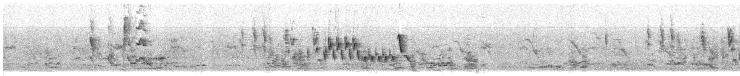 Southern House Wren - ML643531865