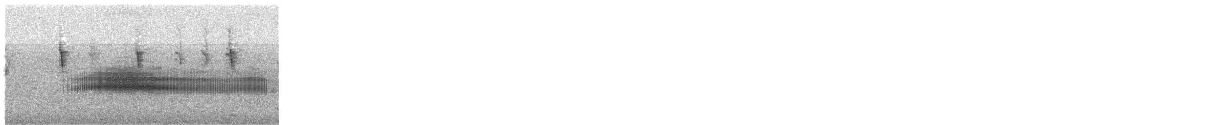 White-tipped Plantcutter - ML643531866