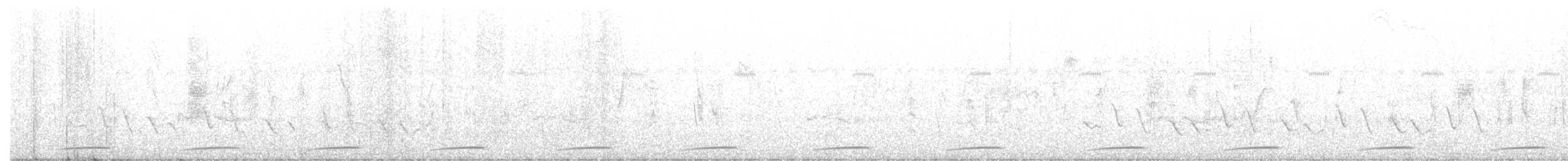Red-chested Flufftail - ML643531913