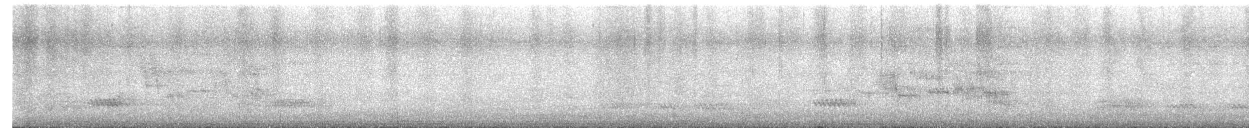 Black-collared Starling - ML643532370