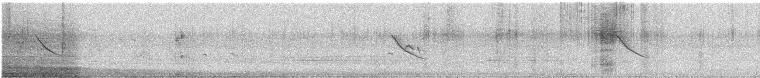 White-browed Wagtail - ML643532664