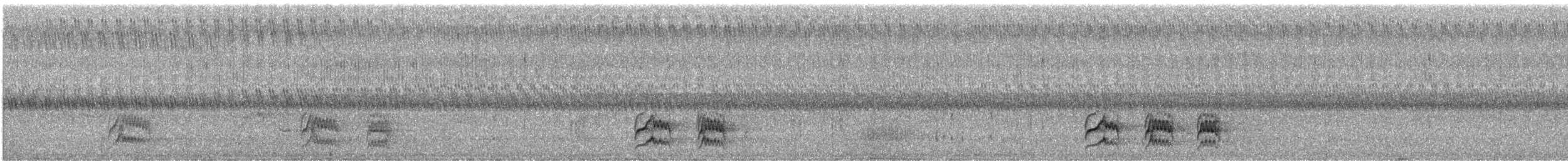Australian Owlet-nightjar - ML643533053