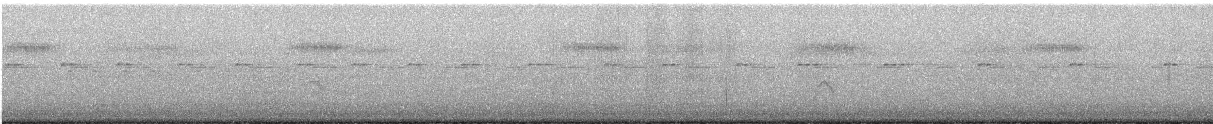 Gray-cheeked Thrush - ML643533565