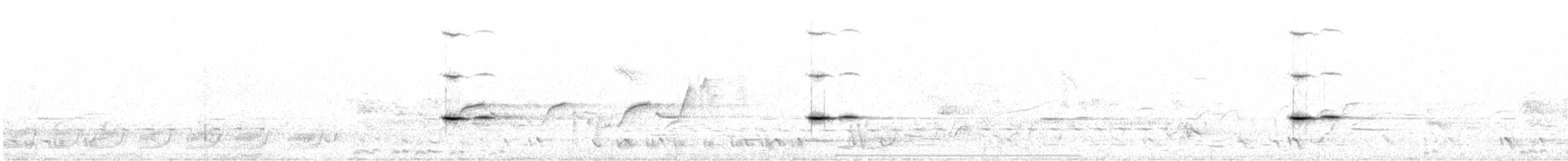 Fleckenpanthervogel - ML643533755